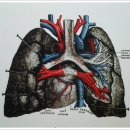 리빙스턴 작은도서관 | 삶이란 죽음을 향한 여행
