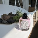 주연가든 | 식물카페 가든홀릭 대전본점 : 대전 향수 원데이클래스