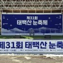 태백산 눈꽃축제 31회 대학생 눈조각 경연대회 240130 이미지