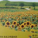 연천 호로고루 이미지