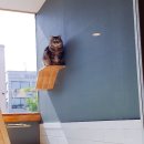 잔다냥 강동점 이미지