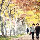 창원광장 앞 중앙대로 이미지