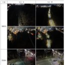 원주리라 이미지