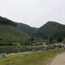 오동담배 이미지