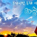 하숑하숑 이미지