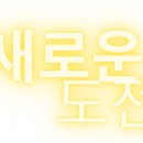 신태양