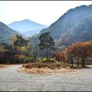 비슬산 용연사-적멸 보궁,석조 계단