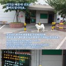 복실이식당 이미지