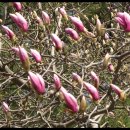 가산중학교 이미지