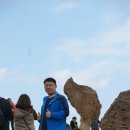 비안도초 이미지