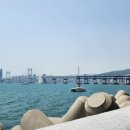 마린제이드부동산공인중개사사무소 | "40억 넘어도 대기자 줄 섰죠" 불황 모르는 부산 초고가 아파트 시장