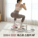 제스파 스포츠 스텝퍼 스윙키 NF 가정용 다이어트 홈트 운동기구 후기