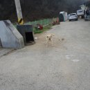 갈산제일 이미지