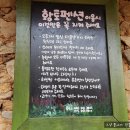 #향기와 휴식이 있는 곳 #사진찍기 정말 좋은곳#밀양 참샘허브나라 2탄