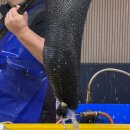 옥타곤 | 강화도 독채 펜션 옥타곤펜션 후기