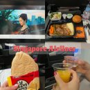 607 | 싱가포르 항공 SQ607 싱가포르행 기내식 간식 후기 터미널 이코노미 비즈니스