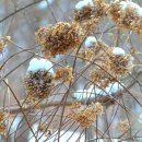 함평자연생태공원 이미지