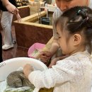 차차래빗 이미지