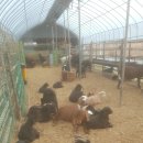 태웅농장 이미지