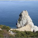 정기코스 이미지