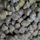 성재축산 이미지