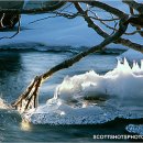 THE SPRING 이미지