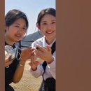 에멜무지로 이미지