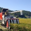 곡성-158 이미지