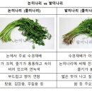 미나리슈퍼 이미지