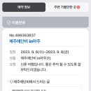 제주애단비 마주 이미지