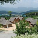 화천 스크린 아시아투데이