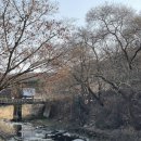 용덕슈퍼 | 에버랜드펜션 수원근교여행 촌캉스 가능한 용인 한옥펜션 7호방 솔직후기