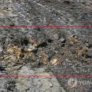 미포산단진입도로 이미지