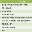 논두렁농산 | 농업직, 농학과, 지도사, 연구사, 축산기사 대비 - 축산학 핵심 요점 정리 9. 가축의사료