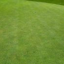 두선생 골프 아카데미 이미지