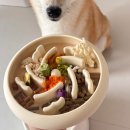 소프레쉬푸드 | [맘마기록7]강아지 음수량이 중요한 이유 후기 사료 화식 토핑 밥꾸 동결건조 산양유 아침 영양제