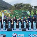 솔향지사
