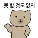 제뉴어리 - 제주시 | 제뉴어리
