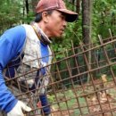 차식농장 이미지