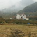 성운회 김복련 자택(하동)에 모두가 가을 야유회겸 다녀 왔습니다 이미지