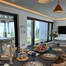 힐스톤애견풀빌라 이미지