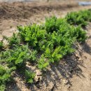 이 시는 간접광고를 포함하고 있습니다 이미지