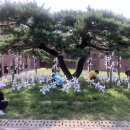 서대문형무소역사관 이미지