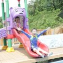 신나로힐링펜션 이미지