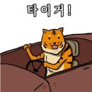 FC25편의점 | ⚽ACLE 아챔 직관 FC마치다젤비아 vs 강원FC @기온스타디움 | 후기, 강릉삼촌들과 친구가 된 썰