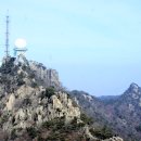 시청길 이미지