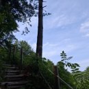 대전둘레산길(11구간) | 방동리 둘레길 산행 후기