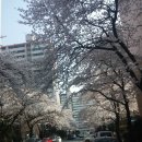 대정로-2 이미지