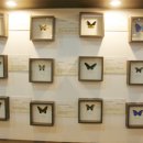 (주)제주유리의성 이미지