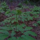 형재 농장 이미지